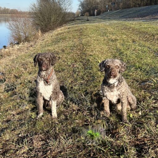 Cropped IMG 0822 Scaled 1